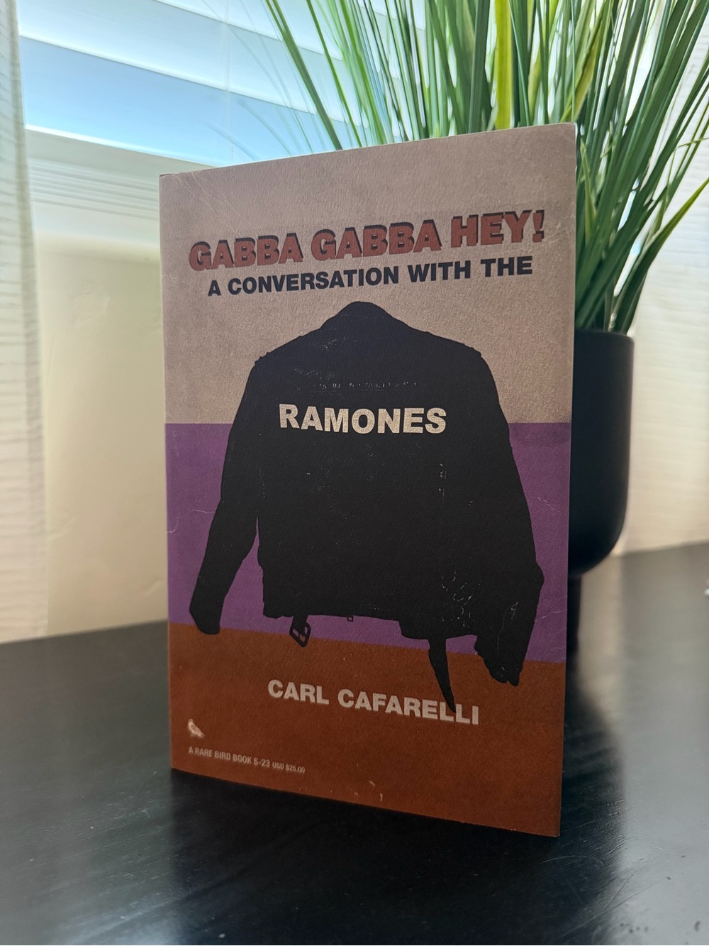 A Conversation with The Ramones Book